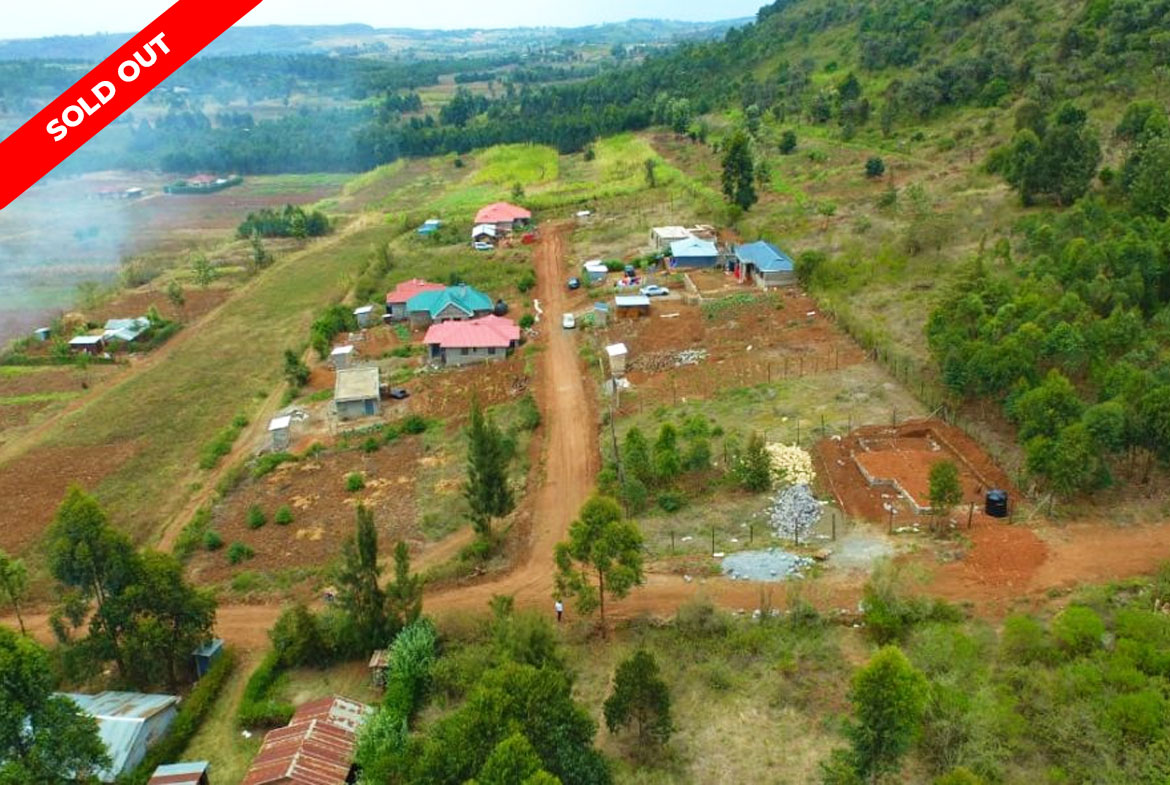 Hekima Estate