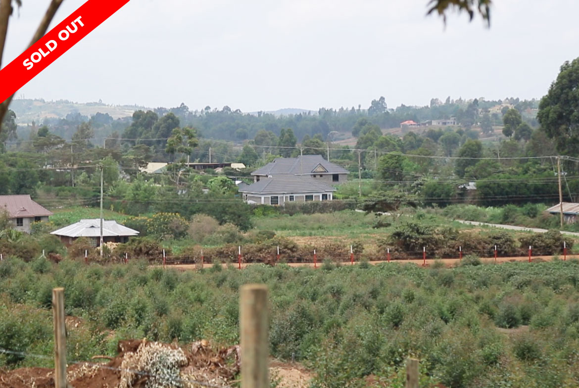 Hope Gardens Phase 1