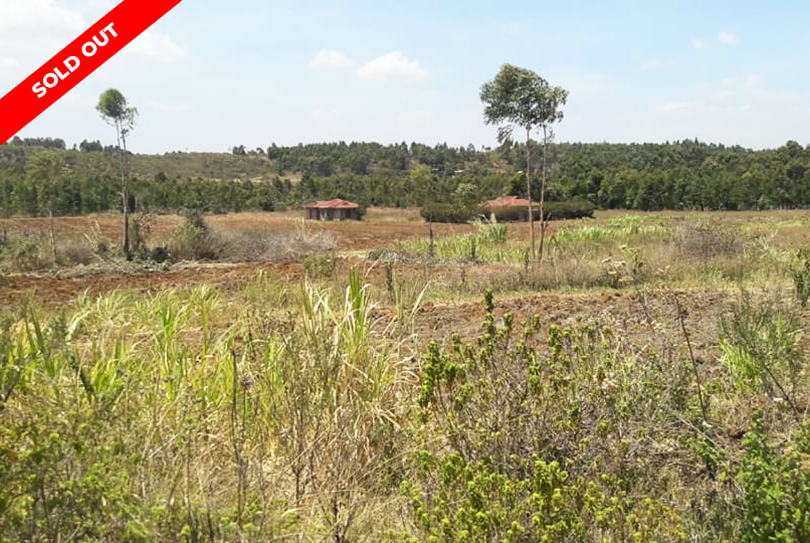 Nawiri Gardens Phase 1