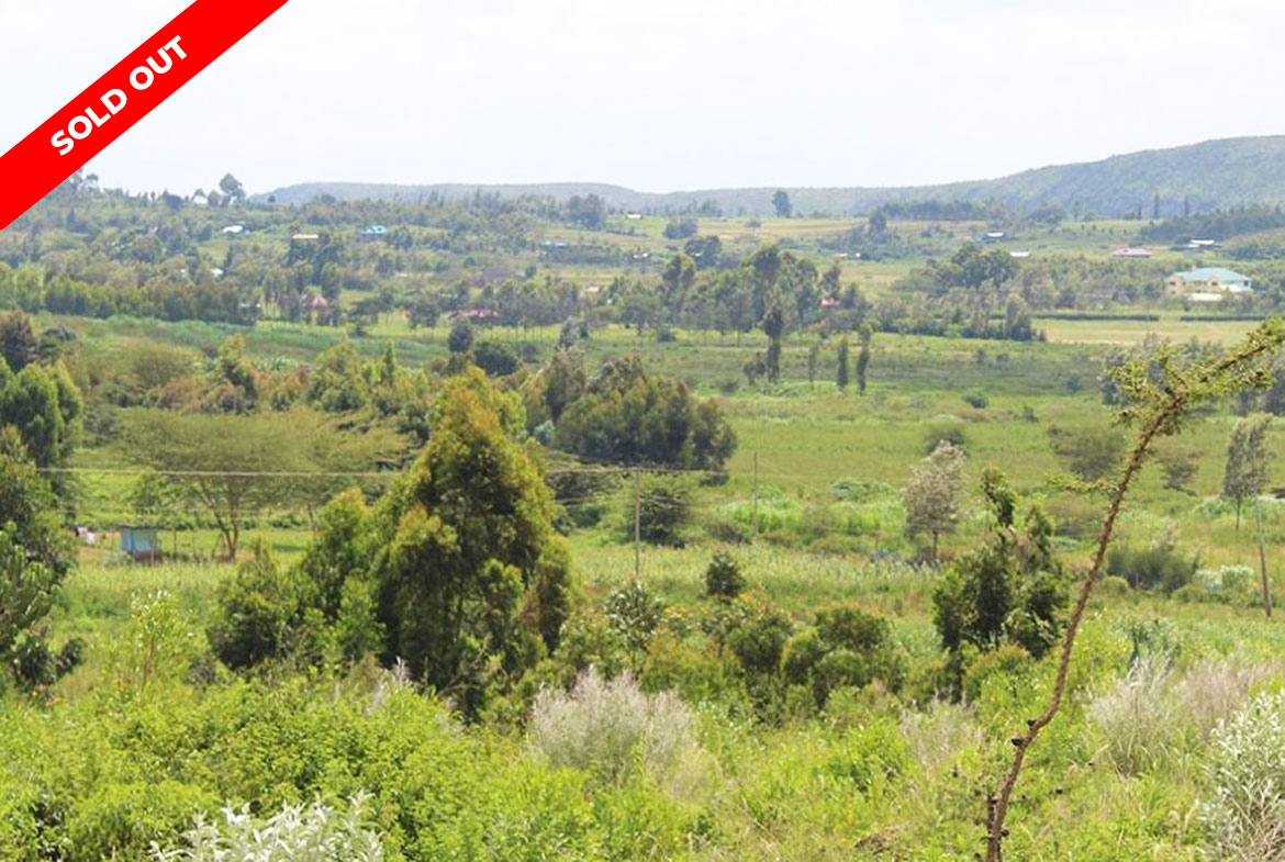 Neema Estate